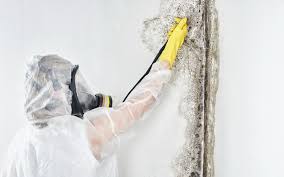 Asbestos and Lead Testing During Mold Inspection in Galena, IL